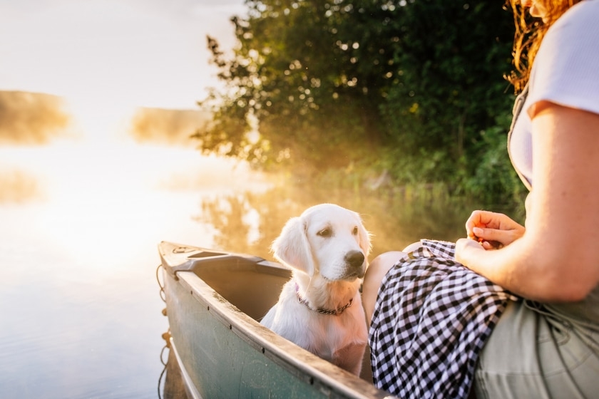 woman and dog in canoe in lake