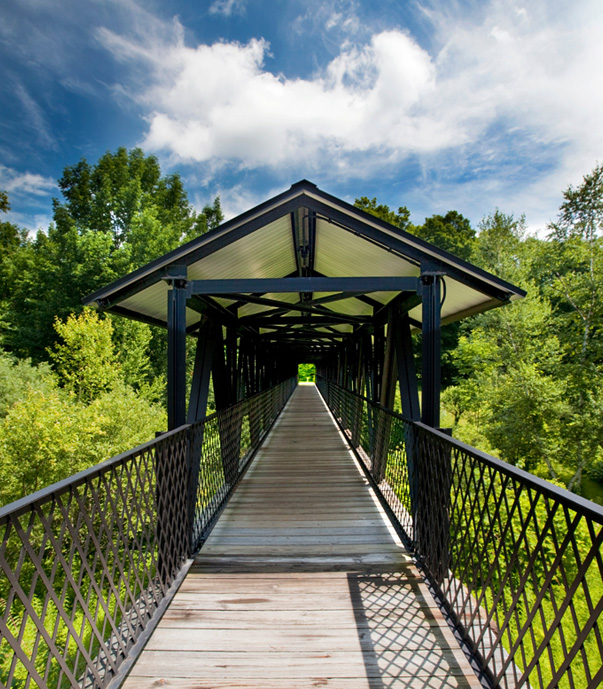 A covered wooden walkway in the center of woods with clear blue sky