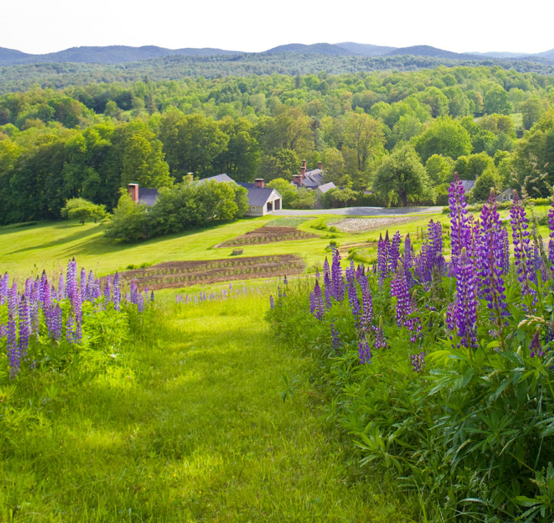 Outside view of the Farm