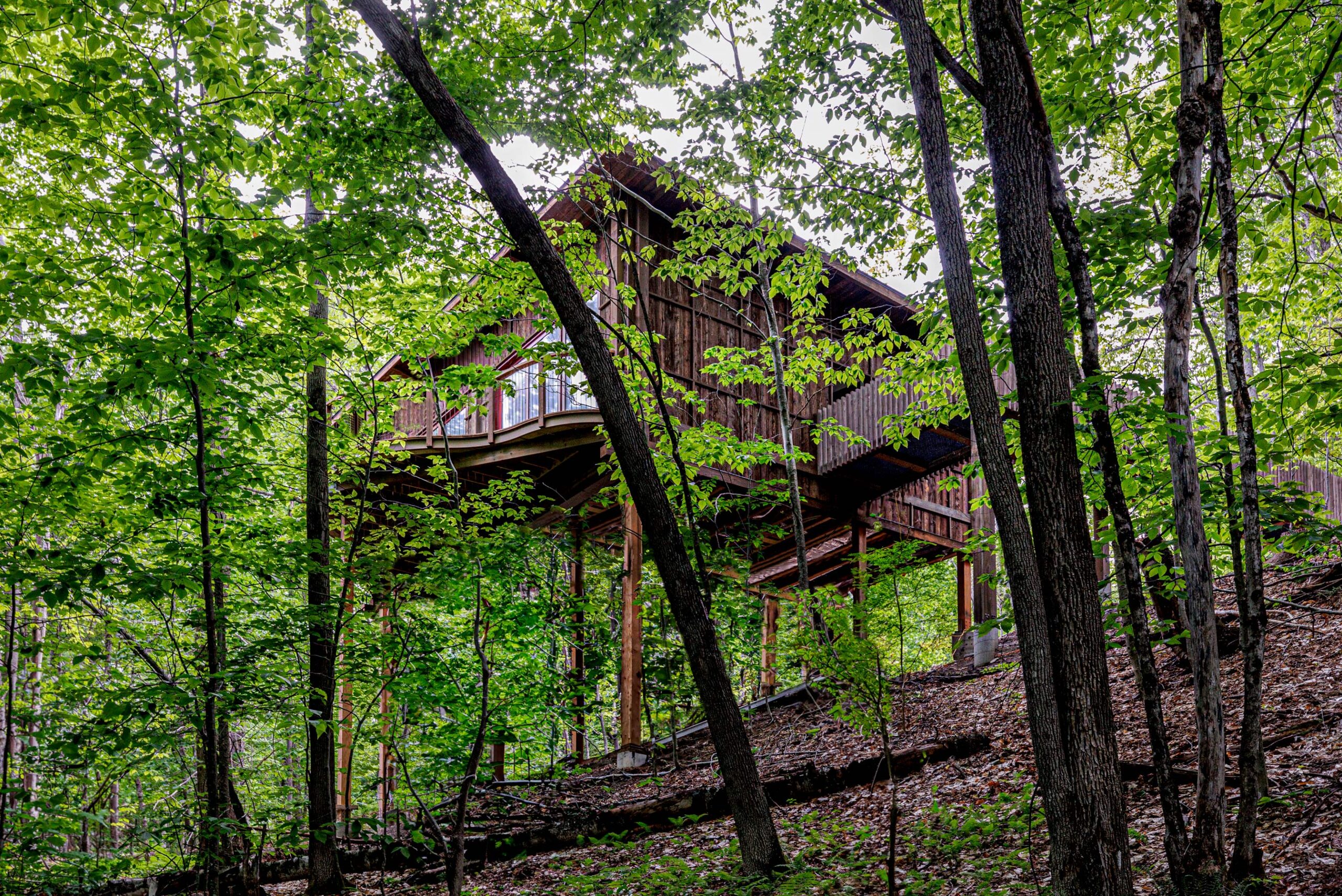 tree house