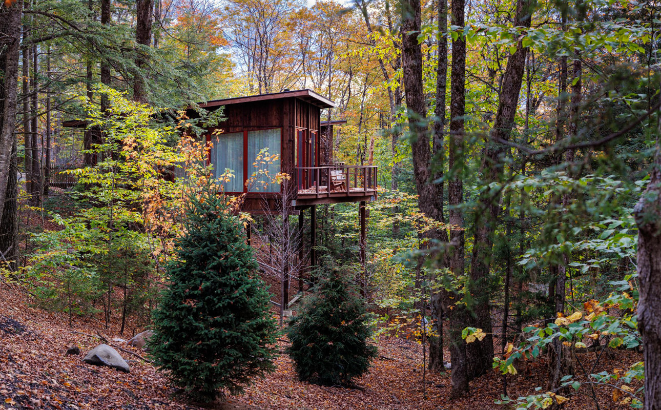 treehouse