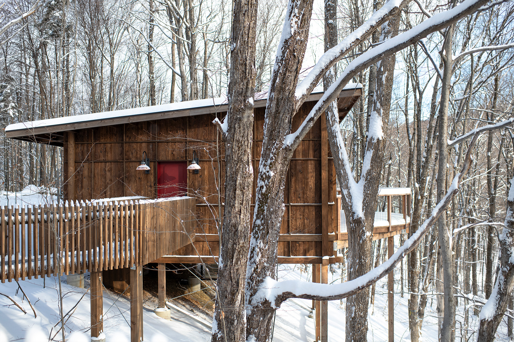 winter treehouse