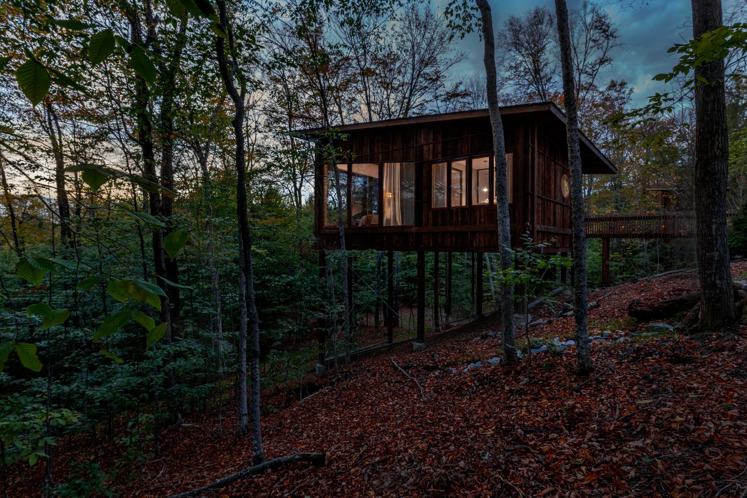 treehouse exterior