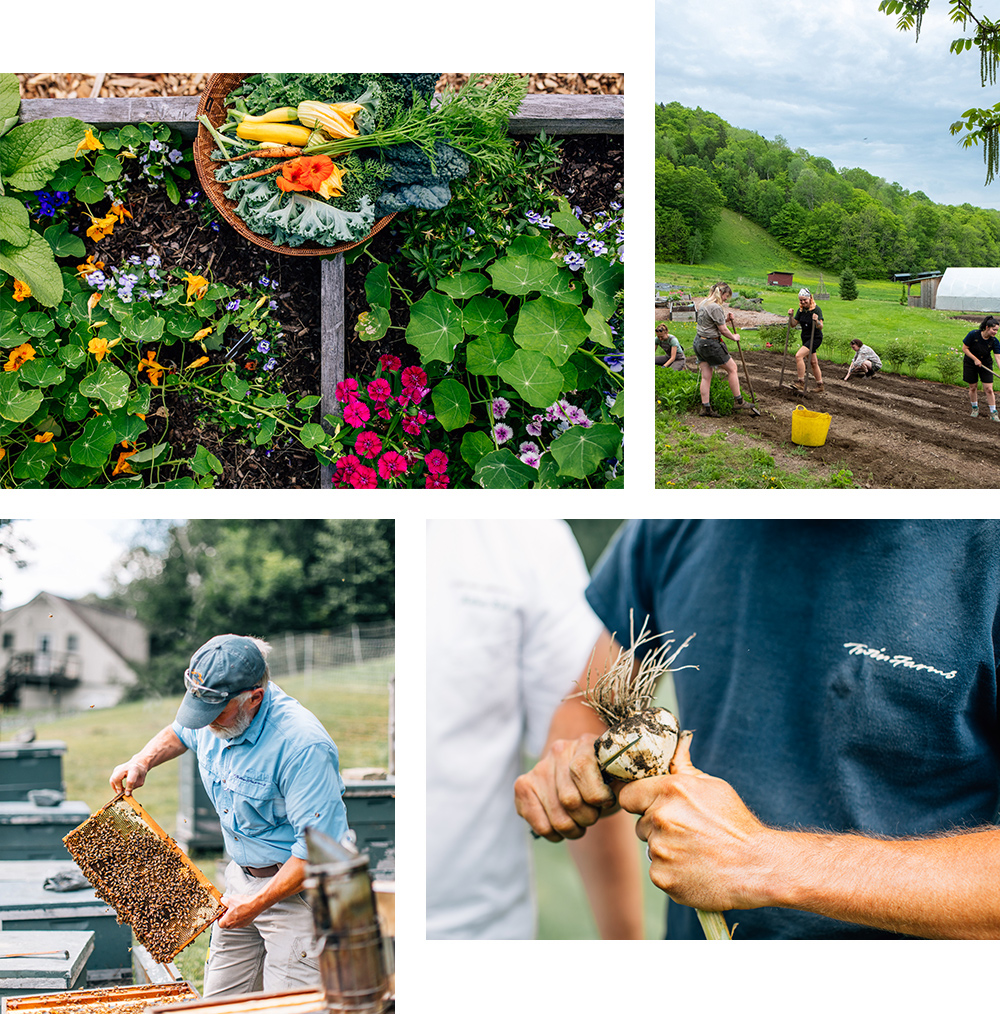 collage of images with twin farms staff collecting vegetables, honey etc from fields