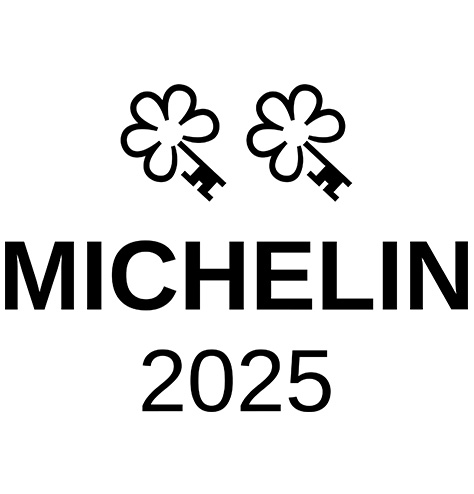 michelin logo