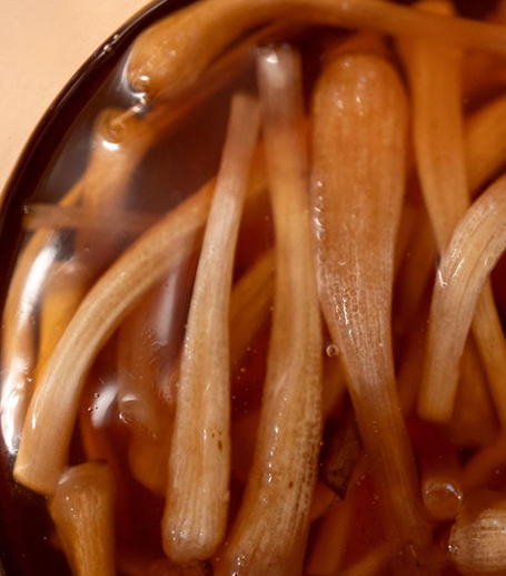 Basics of Pickling and Fermenting